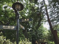 -三鹰之森吉卜力美术馆