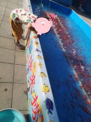 -萌宠亲子动物乐园(槐房万达店)