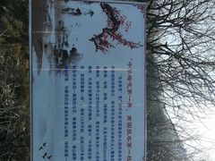 -广州市流溪河国家森林公园
