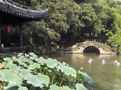 -绮园景区