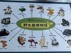-菌彩云南野生菌火锅(呈贡七彩云南第壹城店)