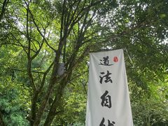 -青城山