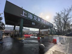 -上海龙吴水胜海发市场
