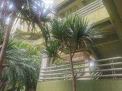 -广东工业大学(大学城校区)