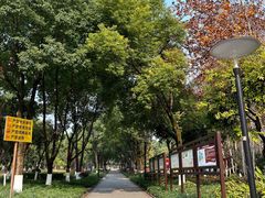 -重庆彩云湖湿地公园