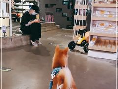 -百好乐宠物友好餐厅(朝外大街店)