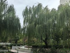 -兰溪青年公园