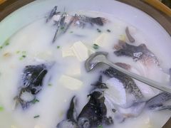 -全乐鱼馆·淳牌有机鱼直营店