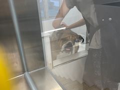 -comecome来吧宠物(奥克斯中心店)