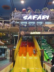-卡通尼·Safari非洲探索乐园·生日会(金桥国际商业广场店)