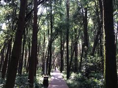 -同里国家湿地公园