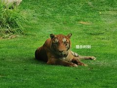 -北京野生动物园