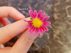 -海底捞火锅(连城广场店)