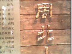-辽宁大剧院