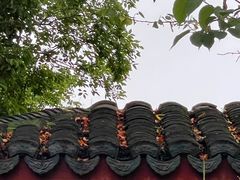 -厦门园林博览苑