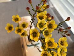 -南堂馆·新川菜(春熙路店)