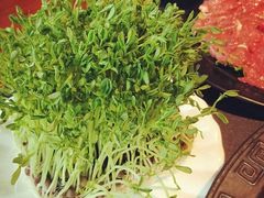 -莽子老火锅(大坪店)