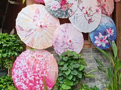 -重庆十八梯传统风貌区