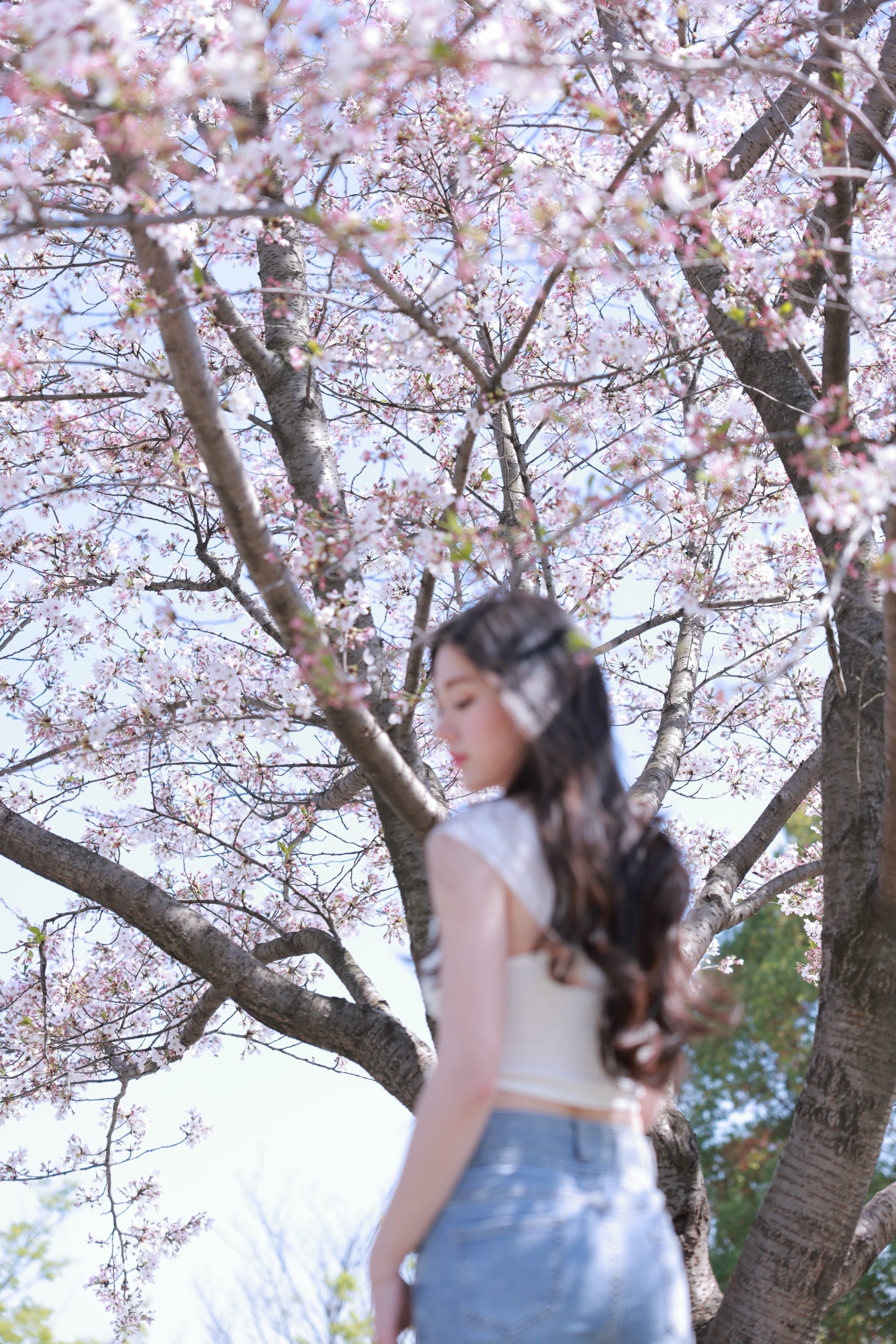 三月🌸樱花少女已上线🔗拍照攻略