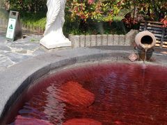 -扬州瘦西湖温泉