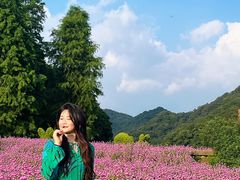 -广州市石门国家森林公园
