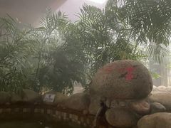 -三江森林温泉度假区