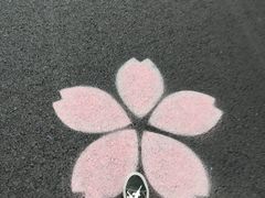 -浙江万里学院(钱湖校区)