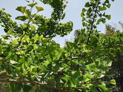 -宁波浙东大竹海景区