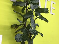 -Liking Fit24小时智能健身(金汇路韩国街店)