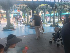 -海合安成都极地海洋公园