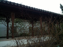 景点-紫竹院公园冰场