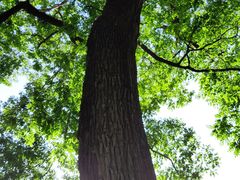 -北京上方山国家森林公园