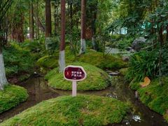 -成都市活水公园