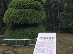 -苏州河梦清园环保主题公园