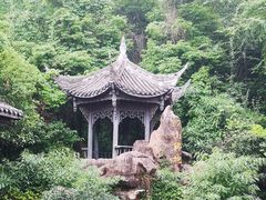 -凤栖山