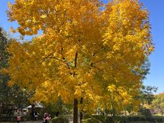 -朝阳公园游乐园