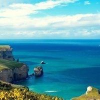 -薇兰专业脱毛连锁机构