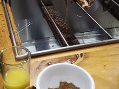 -香木香羊烤全羊羊蝎子(大运河博物馆店)