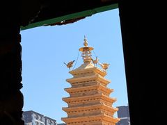 -眼镜粑粑