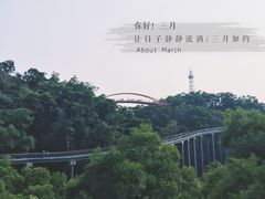 -金鸡山公园
