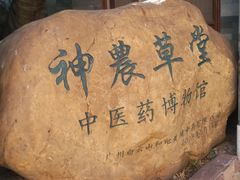 -广州神农草堂中医药博物馆