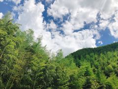 -将军关探险漂流