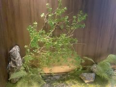 -食悦江南·淮扬菜·烤鸭(亚运村·惠新店)