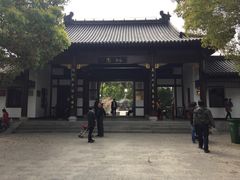 -南汇桃花村