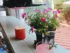 -有猫主题·治愈系猫咖(曾厝垵店)
