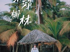 -东郊椰林