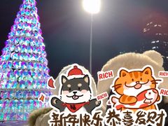 -沈阳奥体冰雪嘉年华