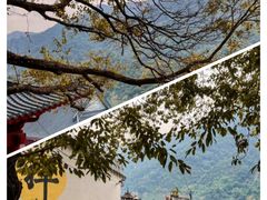 -飞霞风景名胜区