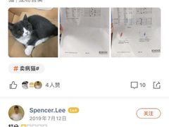 -lincat·猫舍(广州店)