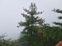 -陕西省红河谷森林公园